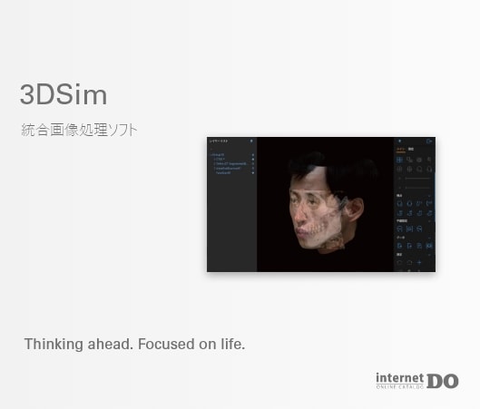 3DSim